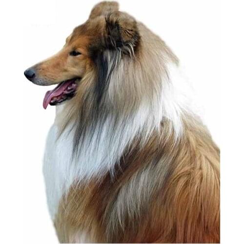 JuYouHui Exterior Accessories Decal Dog Rough Collie Car Stickers and Decals Vinyl Personality Scratch-proof Decals PVC 13cm