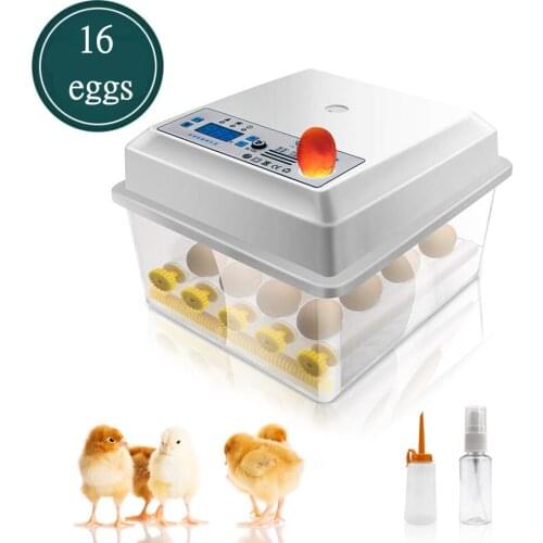 Xinxiang Reptile Lamps And Thermometers