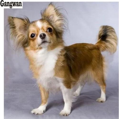 Hobby Full square round diamond embroidery chihuahua puppy,5d diamond painting,dog cute pet diamond mosaic picture of rhinestone