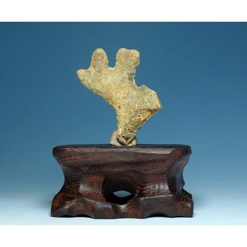 Natural layer hole original stone Ordovician fossils - Cretaceous invertebrate paleontology collections teaching specimens 27