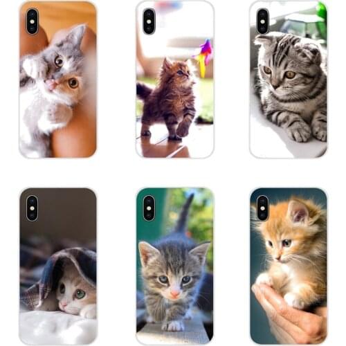 Funny Kitten Cat Accessories Phone Shell Covers For Xiaomi Redmi Note 3 4 5 6 7 8 Pro Mi Max Mix 2 3 2S Pocophone F1