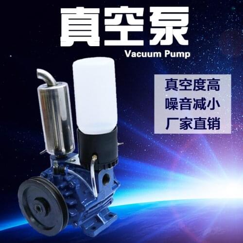 250L High Quality Fiber Rotary Blade Vacuum Pump for Portable Milking Machine