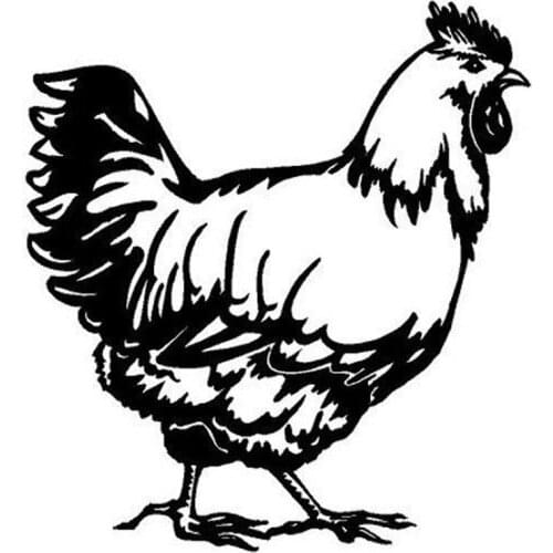 Personality Car-Sticker Automobiles Motorcycles Window Bumper Laptop Vinyl Decal PVC Decorative Goods Funny Chicken Apply To Car