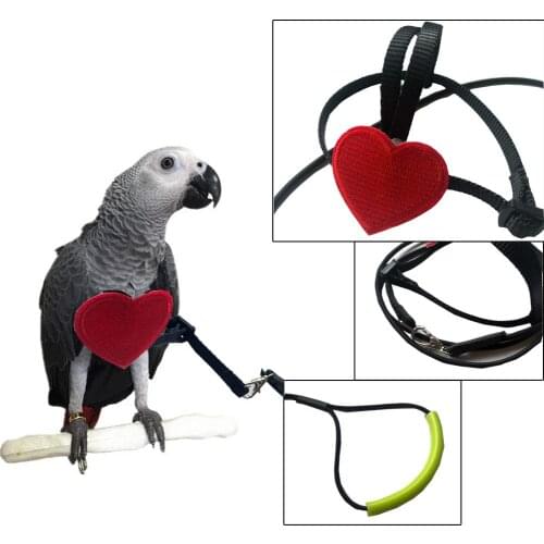 Bird Harness Leash Parrot Flying Straps Wings Traction Rope Adjustable Elastic Training for Lovebird Cockatiel Budgerigar