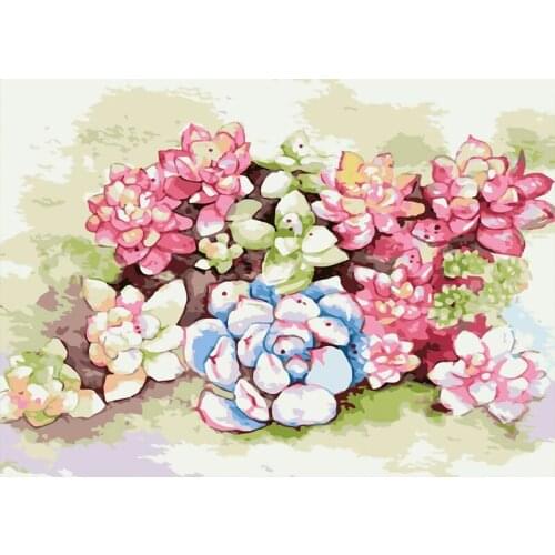 Paint By Number Flower Drawing on Canvas DIY Pictures By Numbers Flowers Kits Hand Painted Painting Art Gift Home Decor