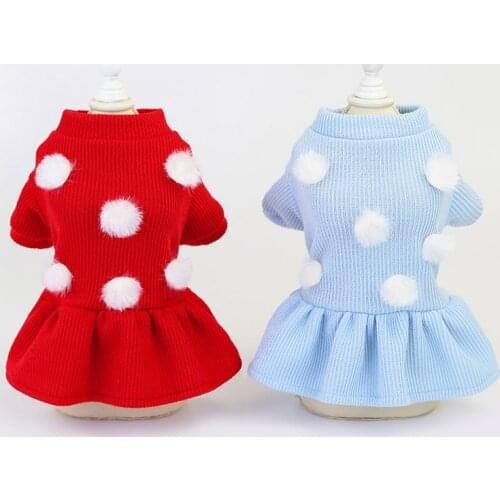 Pet Supplies Dog Atumn Winter Suitable for Walking Party Dress Dog Clothes Winter Cute Pomegranate Bear Wool Skirt Warm Comfort