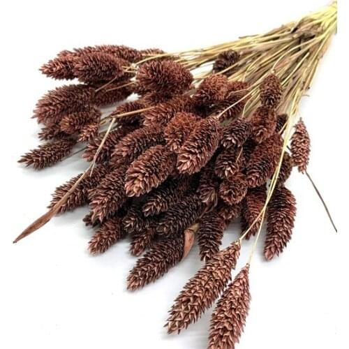 Dry flower Bird Grass Brown decoration artificial flower искусственный цветок
