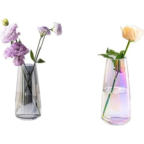 2 Pcs Flower Glass Vase for Decor Home Large Flower Vases Centerpieces Living Room Kitchen Office,Gray & Magic Color