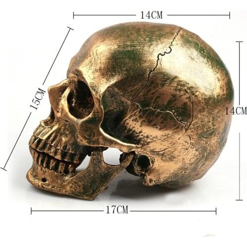 [MGT] P-Flame 1：1 Resin Skull Model Halloween Decoration Painting Medicine Makeup Props Model Sculpture Statue Crafts decoration