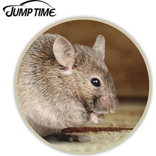 Jump Time for Cute Rat Vinyl Stickers Mouse Mice Pet Sticker Laptop Luggage Waterproof Car Styling Accessories