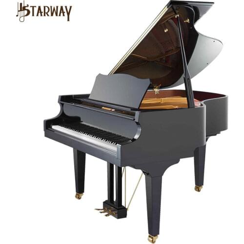 STARWAY Microphone Accessories