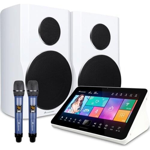 15.6 Touch Screen 6TB HDD Amplifier Karaoke Set with Wireless Mixer Microphone Professional KTV Karaoke Machine with Speaker