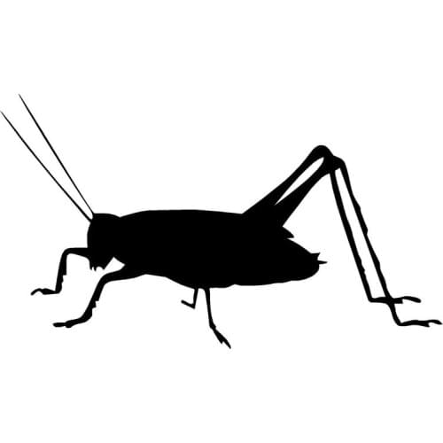 16.5*9.5CM Cricket Silhouette Fansy Car Sticker Creative Truck Car Body Decals Styling Black/Silver C9-1742