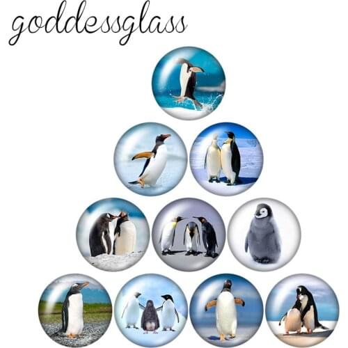 Animals penguin Polar bear whale Ocean 10pcs mixed 12mm/18mm/20mm/25mm Round photo glass cabochon demo flat back Making findings