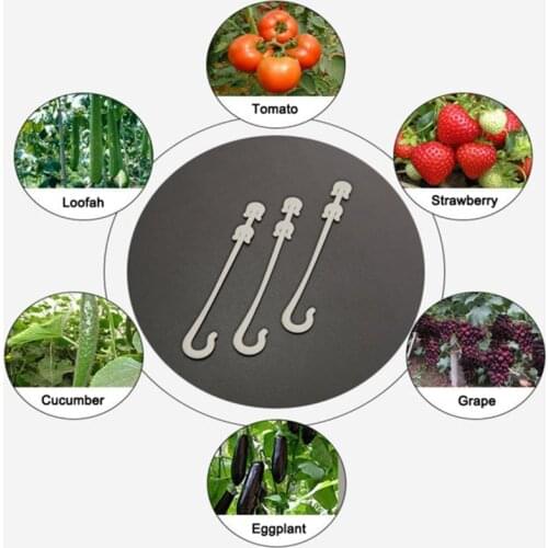 50pcs J Shaped Fruit Cherry Tomato Ear Hook Garden Vegetable Plant Grape Support Fixed Buckle Hook For Agricultue Gardening