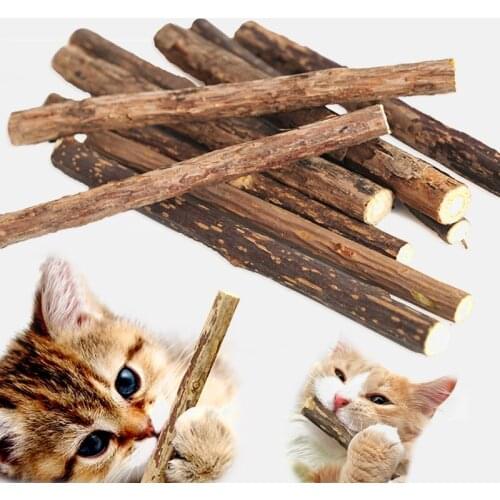 5/10/15/20 Pcs Molar Toothpaste Branch Cleaning Teeth Chew Toys Cat Sticks Sticks Pet Supplies Pure Natural Catnip Pet Cat Toy
