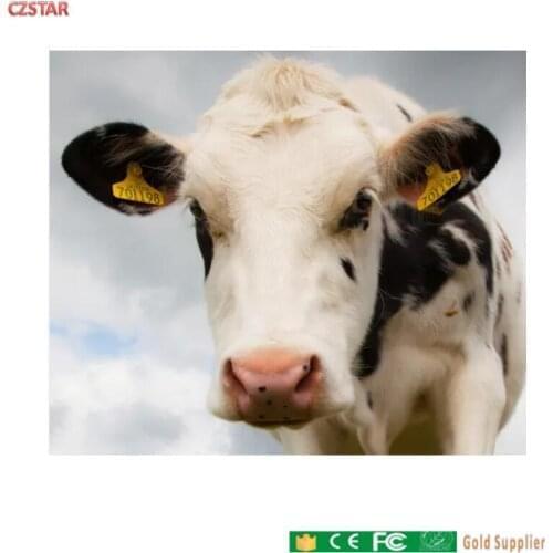 DHL shipping impinj r2000 uhf rfid reader + 2pcs 9dbi uhf rfid antenna + 5pcs Farm Livestock Cattle Sheep RFID Animal Ear Tag