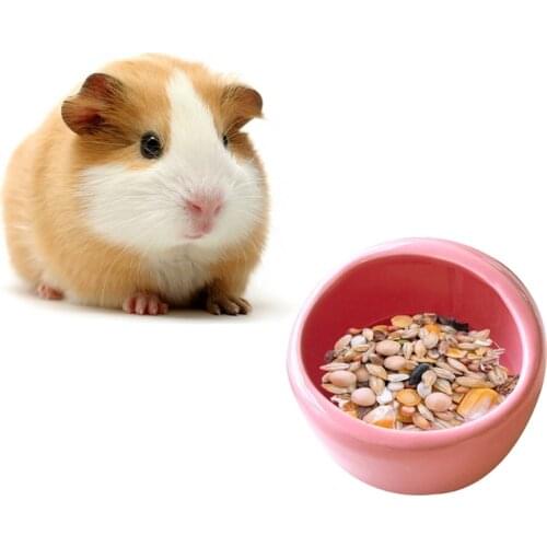 Hamster Feeding Bowl Ceramic Food Dish for Guinea Pig Accessories Gerbil Hedgehog Syrian Small Pets No Tip Over Pet Supplies