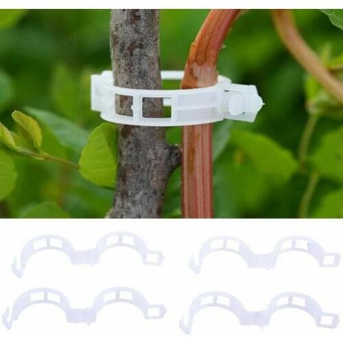 Trellis Garden Vegetables Tomato Vine Stalks Grow Upright Plant Agriculture Plants Hot For Garter Clips Support Tools Q5I9