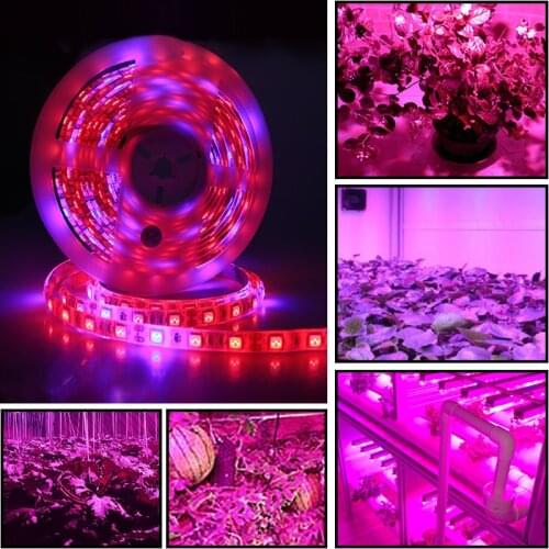 5050 LED Phyto Lamps Strip Light 300 LEDs 5 Meters Full Spectrum LED Grow Lights Fitolampy For Indoor Plants Flower Seeds