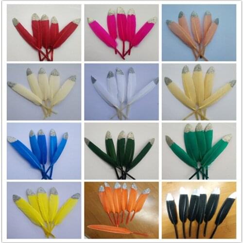 Wholesale 10pieces Newest Double Side Silve Color Goose/Duck Feathers 10-15cm/4-6 inch Decoration Plume 15 colors are available
