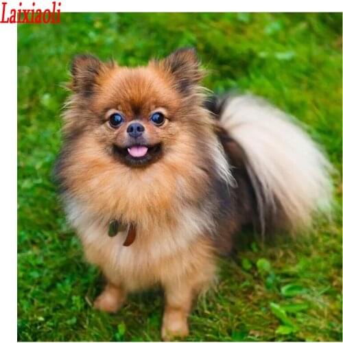 Full Square/Round Drill puppy Pomeranian Diamond Painting 3D Embroidery Cute Pet dog 5D DIY Cross Stitch Mosaic Wall Sticker art