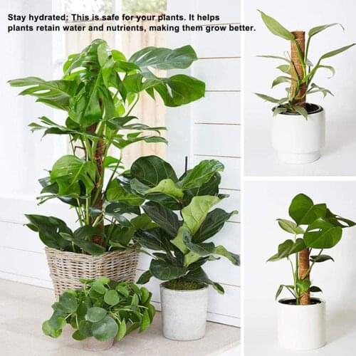 Newest Plant Climbing Pole Coir Moss Stick Coir Moss Palm Vines Stick Plant Support Extension Climbing Indoor Plants Creepers