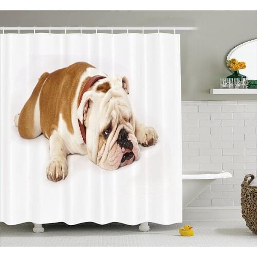 English Bulldog Shower Curtain Sad and Tired Bulldog Laying Down European Pure Breed Animal Photography Bathroom Curtains