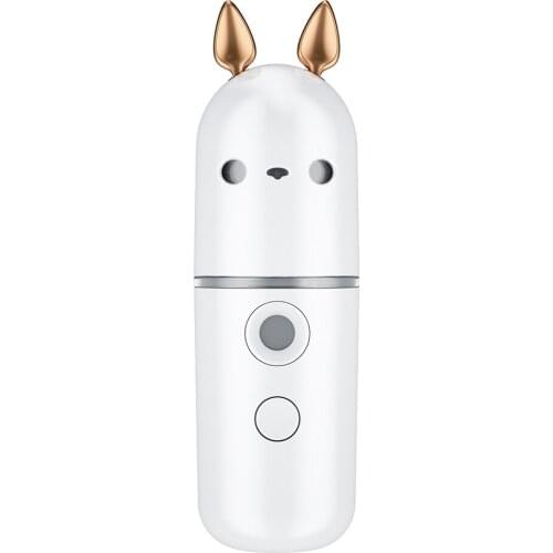 Wholesale Custom Logo And Packing Skin Care Sauna Cleaning Equipment Nano Mist Face Spray