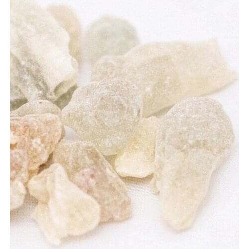 Plant chewing gum: Oman Hojari Frankincense resin 25g