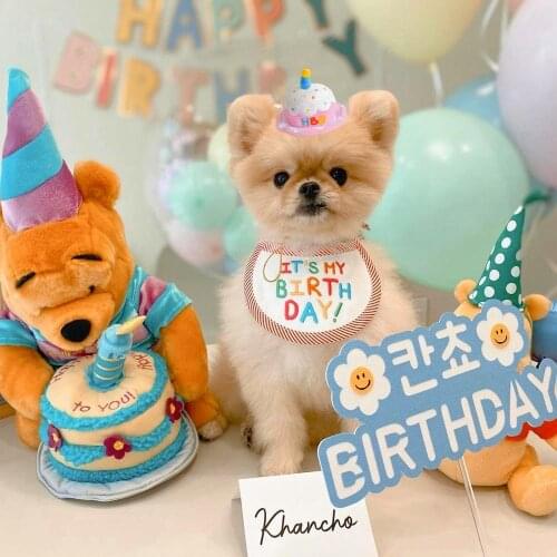 Pet Birthday Hat Bib Dog Cat Squeak Interactive Toy Cute Embroidery Happy Birthday Bib Cake Hat Pet Decoration Supplies Gift