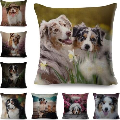 Pet Dog Animal Cushion Cover for Sofa Home Room Decor Cute Australian Shepherd Pillowcase Polyester Pillow Case 45*45cm