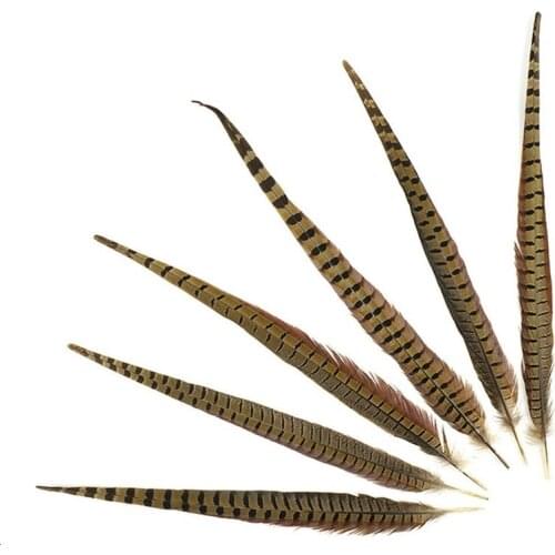 10Pcs/Lot 25-75CM 10-30"Natural Ringneck Pheasant Tail Feathers for Crafts Wedding Decorations Pheasant Feather Plumes Plumas