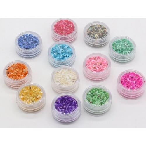 Natural Color Shell Gravel Jewelry Making Earrings Bulk Shell Pendant Beads Accessories Handmade Jewelry DIY