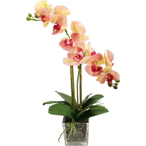 Товары для праздника Gerard de ros China At AliExpress