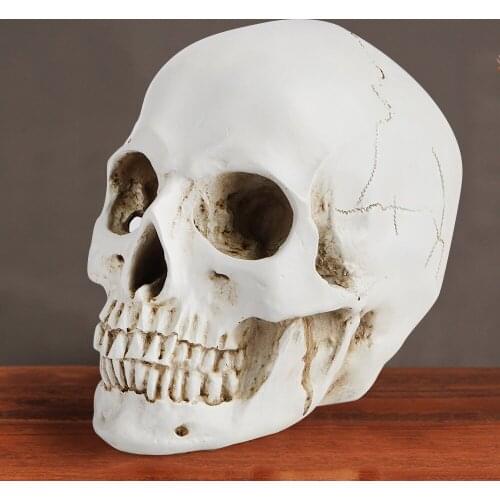 Resin skull Halloween gift home pub decoration medical mold model ghost head