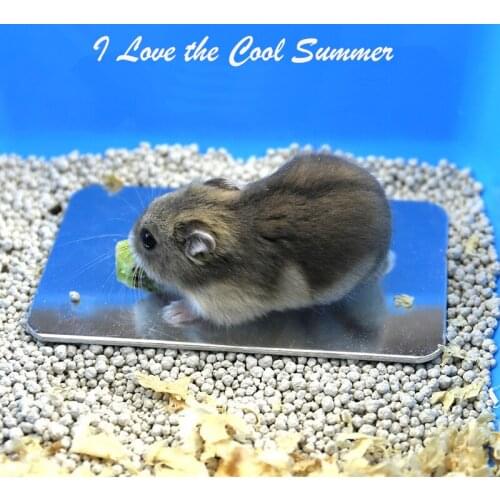 Aluminum Alloy Pet Rabbit Chinchilla Cavy Hamster Cooling Plate Board Bed(20 * 30cm)
