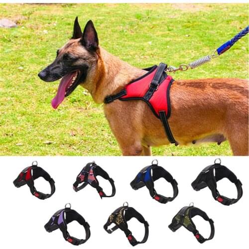 SENYEPETS Goods For Sports And Recreation