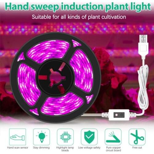 Plant Growth Light LED Planting Fill Light With USB Hand Sweep Dimming Full Spectrum Indoor Succulent Plant Light Growing Lamps