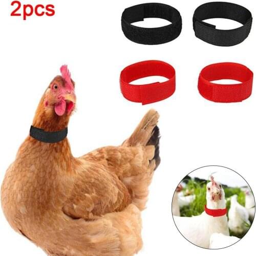 2Pcs Chicken Collar Nylon Anti-hook Noise Free Ducks Geese Poultry Neck Strap