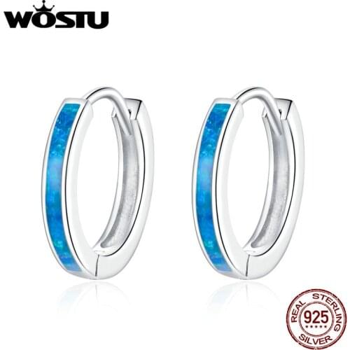 WOSTU 2020 New Simple Opal Stud Earrings 100% 925 Sterling Silver Fine Circle Earrings For Women Wedding Jewelry BKE992