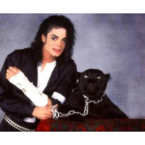 Man diamond embroidery michael jackson rhinestone pictures icon diamond painting full diamant mosaic dog stickers diy portrait