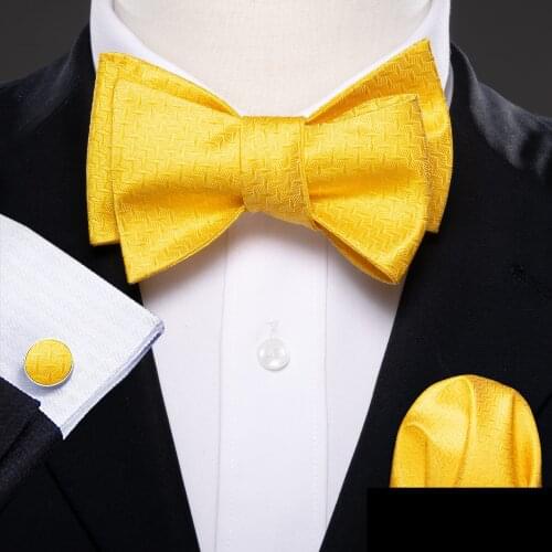 Self Bow Tie For Men Silk Butterfly Men Tie Blue Purple Paisley Hanky Cufflinks Suit Collar Removable Necktie Barry.Wang LH-1015