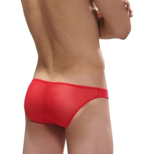 Breathable bag low-waist gauze sexy male briefs male transparent panties men pouch underwear briefs man mesh