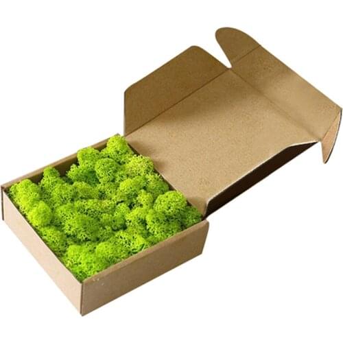 Artificial Decorative Moss Realistic Ornaments for Home Bedroom Decoration