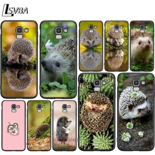 Cute Hedgehog For Samsung Galaxy J2 J3 J4 Core J5 J6 J7 J8 Prime duo Plus 2018 2017 2016 Silicone Phone Cover