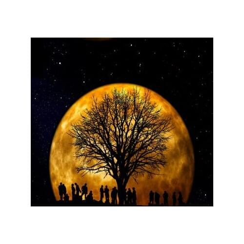 Big Earth Global Photography Background Newborn 5*6.5ft Tree Shadow Vinyl Backdrops for Photography Wedding Photo Props