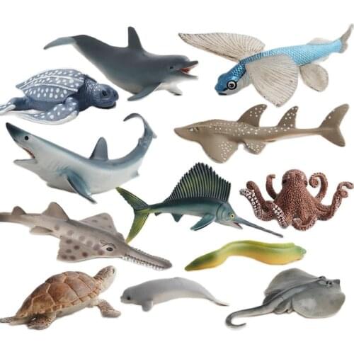 Simulation Ocean Animal Model Sets Figures Shark Whale Turtle Dolphin Flying fish Sailfish Swordfish Eel Action Figurines Toys
