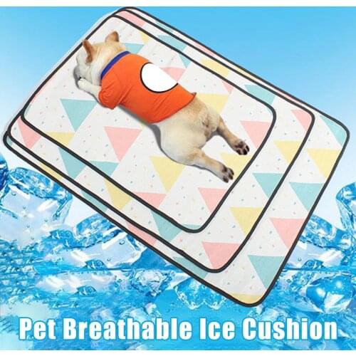 Non-metal deviss Pet Supplies