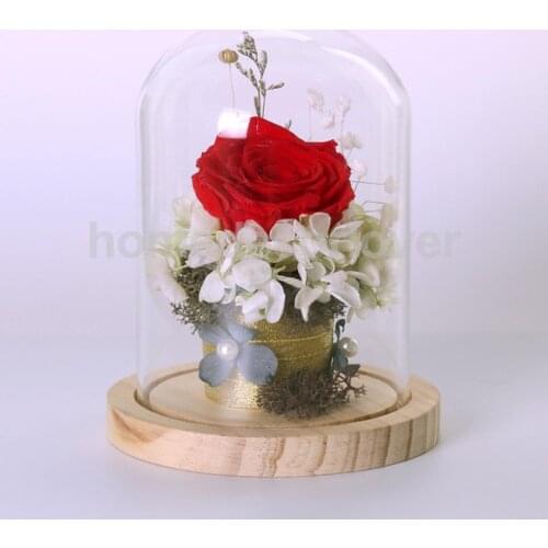Glass Cover Landscape Vase Terrarium Round Wood Tray Flower Decor Gift